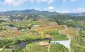修复2600亩矿山、减排20万吨碳、空气优良率96%,芦溪的“绿色答卷”