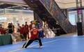 狮城荣耀・沧州擂第二十七战讲述武脉赓续