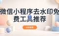 微信小程序去水印免费软件哪个好用?手机电脑在线都能用的有几款