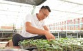 宜宾叙州:跨江而来的育苗“兴农人”李小军