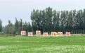 稻浪绘新景!东篱山耕荷花路基地稻田画上线,夏日田园打卡正当时