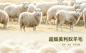 一双滑雪袜里的五种纤维:它们各自在做什么?