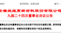 朱胜利,同时担任安徽两家上市企业董事长