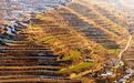 甘肃静宁诗人写给故乡地名的十封“情书”