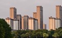 筑牢“好房子”质量根基 平度市靶向攻坚“堵漏裂臭”