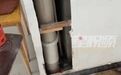 【#夫妻拆3层楼下水管救出2只幼犬#】8月4日,江苏。4只幼犬不慎坠