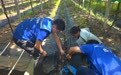 风险减量 防灾先行 中国太保迎战台风“白海豚”织密防护网