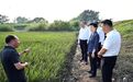 梁惠玲到五常市和尚志市督导检查防汛救灾工作