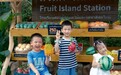 合肥市庐阳实验幼儿园教育集团红玺台总园:夏日趣时光 平安伴假期