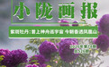 从苍穹到沃土:一朵“太空牡丹”的洮河之约