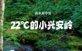 22℃林都伊春掀起研学热潮!奔赴小兴安岭,开启自然探索大课堂