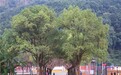 2026年南昌民办学校品牌机构