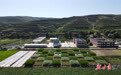 中低产田如何解锁绿色增产密码 专家学者甘肃观摩献智