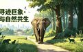 寻迹巨象·与自然共生 世界大象日主题自然研学活动