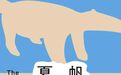 村上春树新作,3天就被AI译出,林少华有话要说