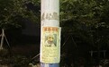 安徽一女子高速遇事故爱犬走失,25天后跨市寻回抱狗痛哭