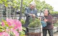 携手相伴65年 长阳八旬翁为老伴打造山间花园