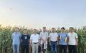 省农科院玉米研究中心首席赵涵研究员一行来盐城市农业科学院调研交流