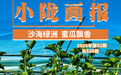 甘肃民勤蜜瓜飘香