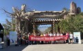 富德生命人寿乌鲁木齐中心支公司“悦动生命,美好同行,山野采摘行”活动圆满落幕