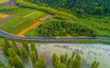 美翻了!鄞州这条公路入选全国美丽公路→