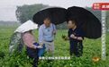 钟睒睒接受央视采访,再问平台权力:电商就是中间商