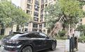 长沙停车缴费迎来“纯净码” 弹窗广告等套路越来越少