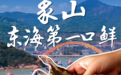 全是硬货!象山海鲜盛宴,开嗦!