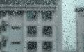 本周还是雨雨雨!“白海豚”打破宁波历史台风降雨纪录