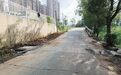 路灯亮了 积水路面干了