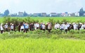 田埂上的“阅卷”