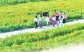 兰州新区之夏:万亩花海迎客来 农文旅融合绘新篇