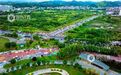江西萍乡:烟火气升腾 夜经济火热(图)