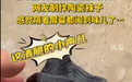 仿真陶瓷袜子冲上热搜!网友:景德镇陶瓷还是太超前了