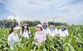 河北:116个科技小院助力乡村全面振兴