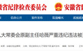 安徽省委批准,开除哈薇党籍!