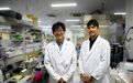 RNA疗法再迎突破!名古屋大学教授:新技术有望让药物作用时间更长