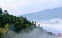 从文博展馆到山野秘境 在甘肃康县解锁惬意遛娃模式