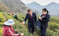 【甘快看】一缕茶香解千结