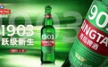 国产啤酒新品推荐|青岛啤酒全麦1903:从红烧肉到烤串,它都接得住