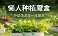 00后小歪在大碶包了9亩地,开起了……