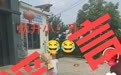 “网友称女孩办幼升小升学宴”不实!实为阜阳一居民庆贺购置新车