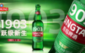 纯全麦酿造的啤酒那么多,为什么青岛啤酒全麦1903更值得你的选择
