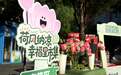荷风纳凉传文明 邻里共聚暖民心 ——奋斗社区“幸福里市集”激活新时代文明实践新活力
