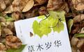答案之后——读《草木岁华:宁波自然观察笔记》