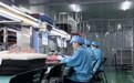 2026年可靠的派瑞林涂层厂家