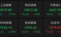 “拍断大腿”,午后直线拉升,20CM涨停