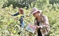 昭苏县农超对接打通产销绿色通道 本土果蔬直供商超赋能乡村振兴