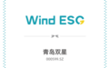 青岛双星荣获Wind ESG汽车零配件行业最高评级AA级