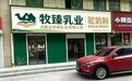 品牌运营主体升级公告|天漠驼舟深耕原生乳品,开启专业化发展新征程